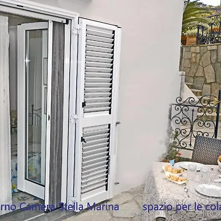 Cavalluccio Marino Anacapri (Isola di Capri)