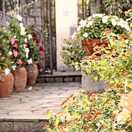Bed & Breakfast Cavalluccio Marino Anacapri (Isola di Capri)