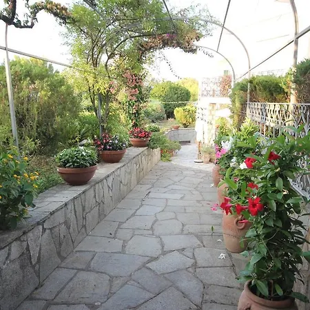 Cavalluccio Marino Bed & Breakfast