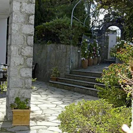 Cavalluccio Marino Bed & Breakfast