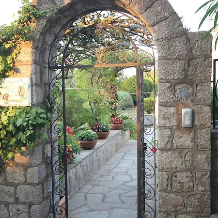 Cavalluccio Marino Anacapri (Isola di Capri)