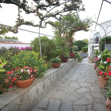 Bed & Breakfast Cavalluccio Marino